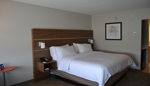 Suite, 1 King Bed with Sofa bed