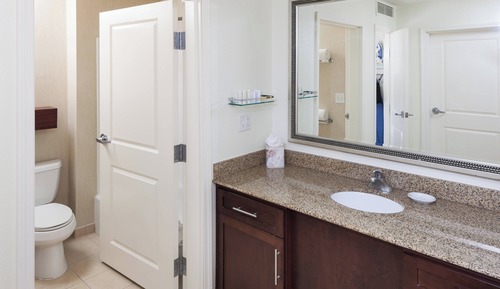 Studio Suite, 1 King Bed with Sofa bed (Hearing Accessible)