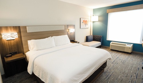 Standard Room, 1 King Bed, Accessible (Mobility, Roll-In Shower)
