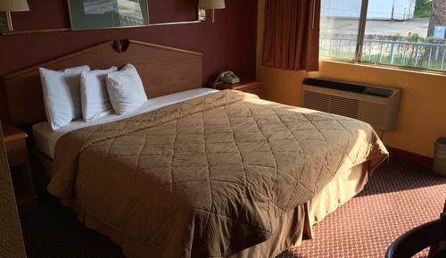 Room, 1 King Bed