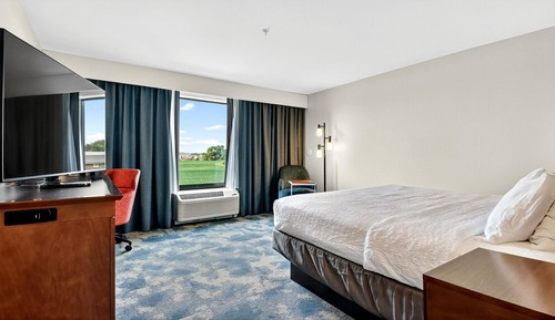 Room, 1 King Bed, Non Smoking, Refrigerator & Microwave