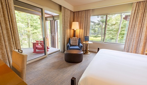 Executive Room, 1 King Bed, Terrace, Golf View