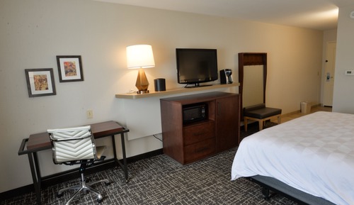 Standard Room, 1 King Bed, Accessible (Mobility Roll-In Shower)