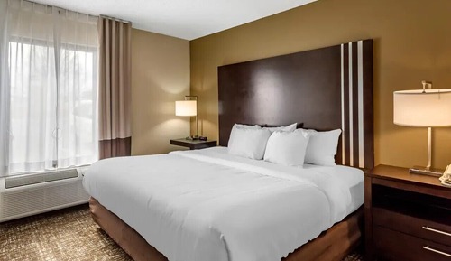 Room, 1 King Bed