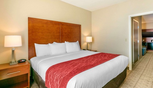Suite, 1 King Bed with Sofa bed, Non Smoking