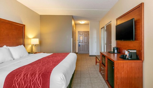 Standard Room, 1 King Bed, Non Smoking