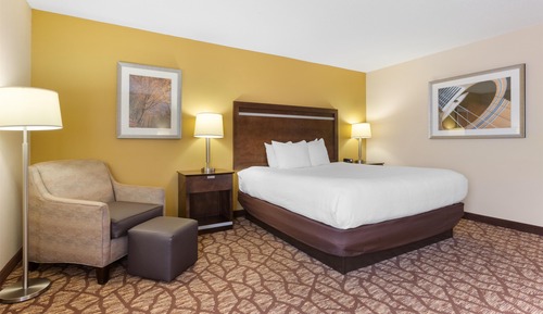 Standard Room, 1 King Bed, Non Smoking, Refrigerator & Microwave