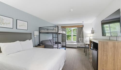 Explorer Loft Suite with Sofa Bed - Non-Smoking