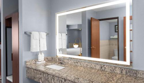 Premier One Bedroom King Suite - Non-Smoking
