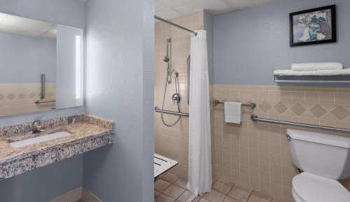 King Room with Roll-in Shower - Mobility Access/Non-Smoking