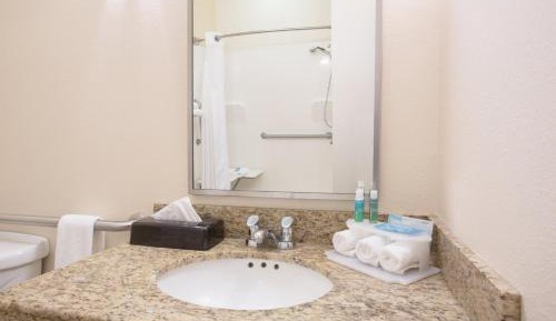 King Room - Disability Access Roll in Shower