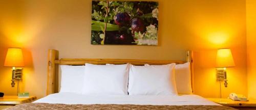 Deluxe King Suite