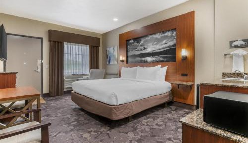 King Room with Roll-in Shower - Mobility Accessible/Non-Smoking
