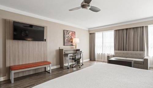 Premium King Room