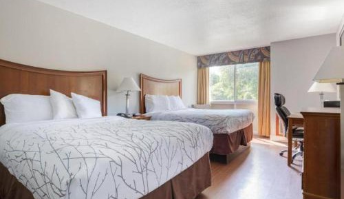 2 Queen Beds | Non-Smoking