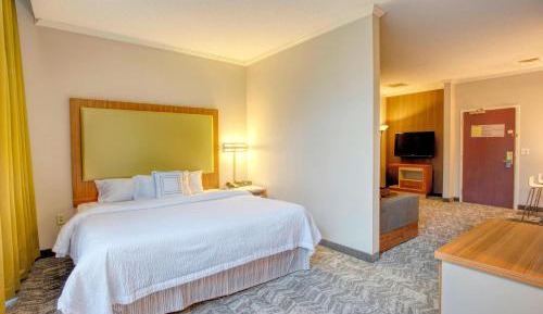 King Suite - Mobility and Hearing Accessible with Roll-in Shower