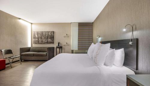 King Room with Sofa Bed - Disability Access