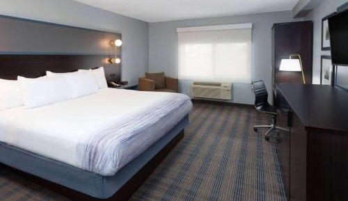 King Room with Roll-in Shower - Mobility Access/Non-Smoking