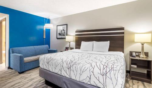 King Room with Roll-in Shower - Mobility Accessible/Non-Smoking