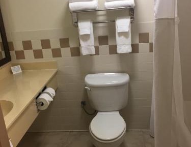 Premier King Studio Suite with Jetted Tub - Non-Smoking